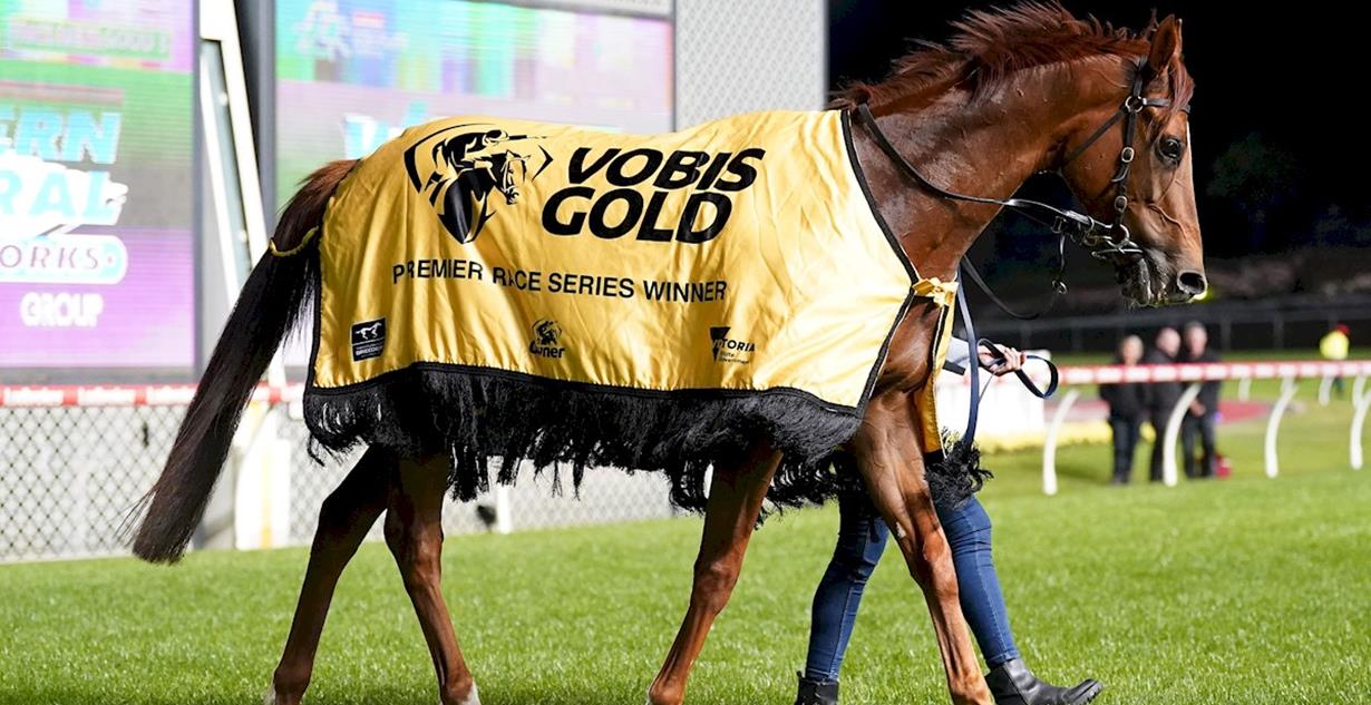 Regal Zeus - Moonee Valley 25th October 2024